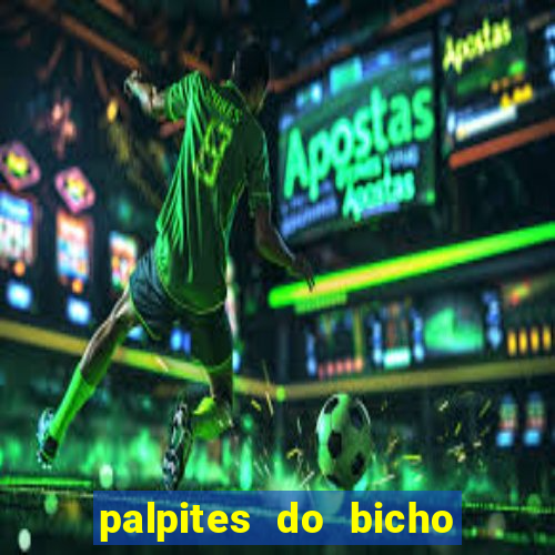 palpites do bicho no celular